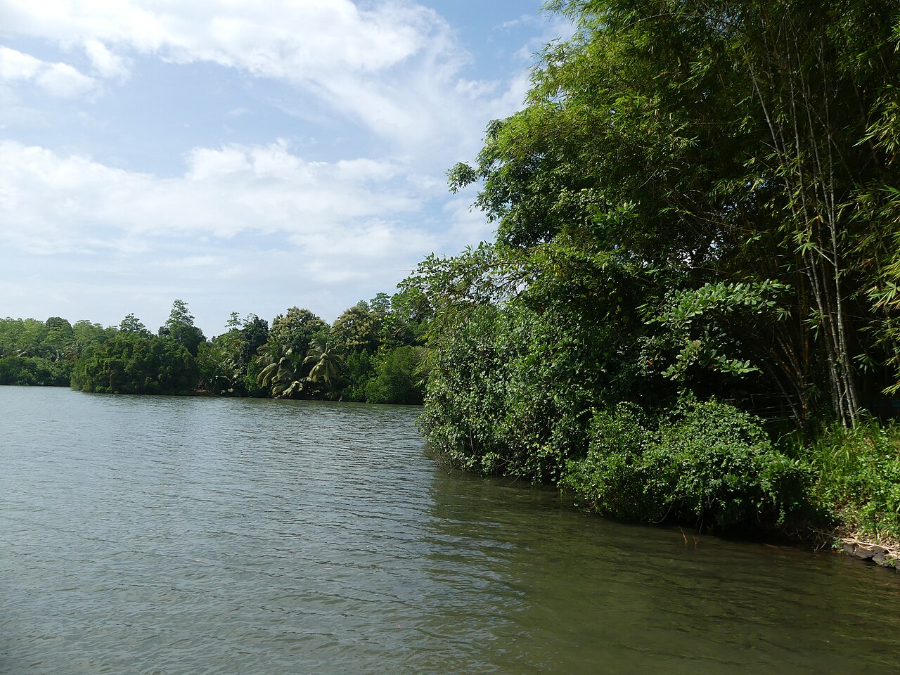 A calm mangrove-lined channel on Koggala Lake, Sri Lanka